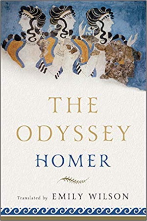 The Odyssey by Homer - Translation Emily Wilson - Buy at Amazon